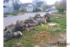 Удаление деревьев, обрезка, кронирование Москва
